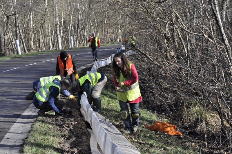 2013 02 25 Montage du crapaudrome 10